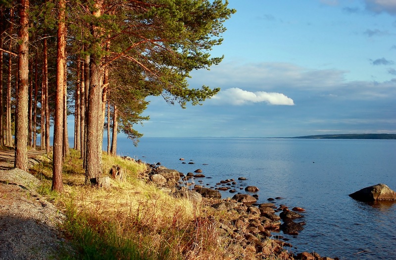 photo (10).jpg