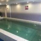 croppedimage100100-IMG_1148
